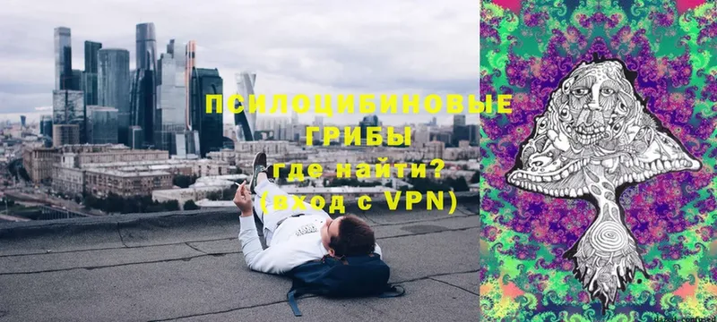 Псилоцибиновые грибы мухоморы  Нарьян-Мар 